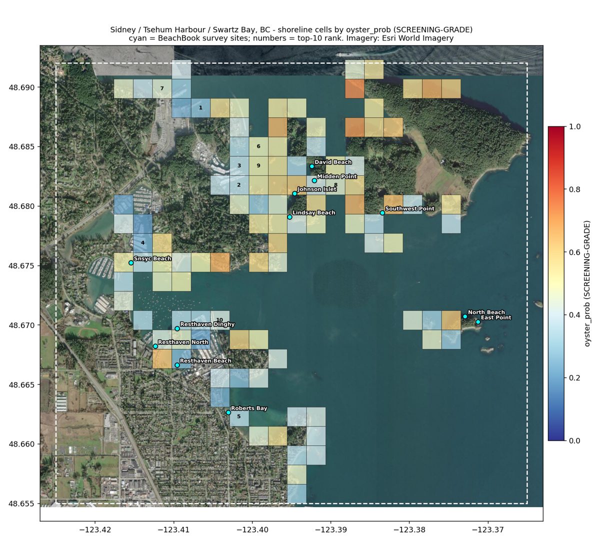 Same cells coloured by oyster likelihood, labelled screening-grade