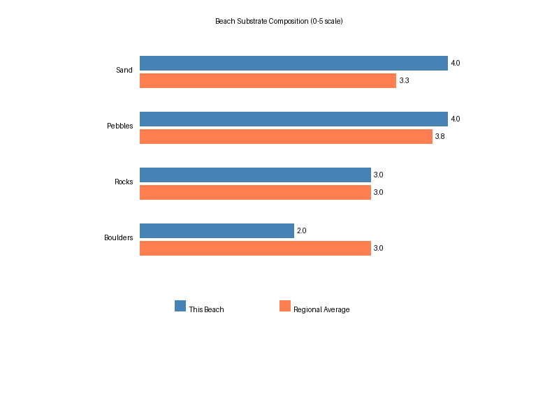 Beach Composition Analysis